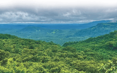 La saga Simandou, chronique d’une souveraineté co…